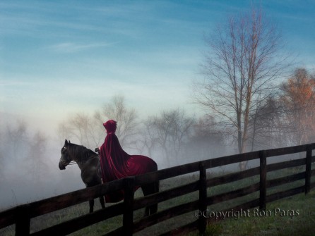 Caped Rider