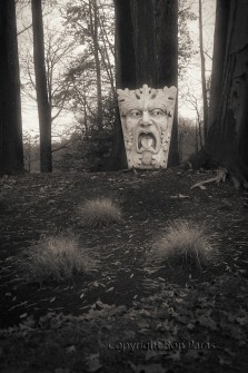Dismay