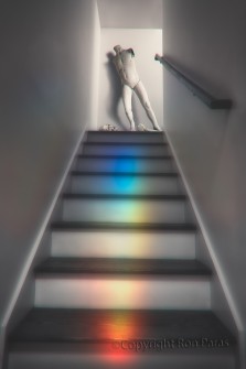 Mortality