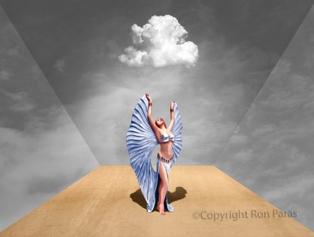 Skyward Dream