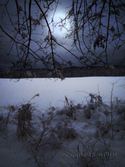 A Winter's Night