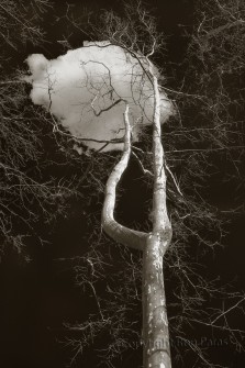 Cloud Catcher 3