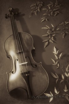 Violin