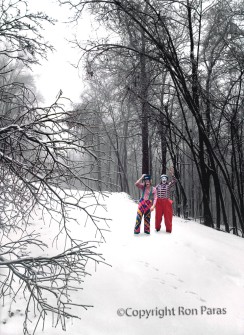 Winter Clowns