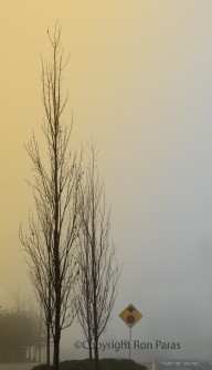 If Time Could Stand Still Just for a Moment