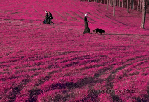 Path Through a Spectrum Shift