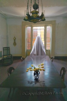Ghost in the Dining Room
