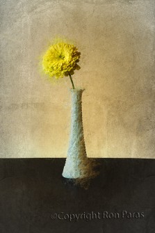 Yellow Flower in Vase