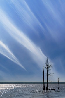 Finger Clouds