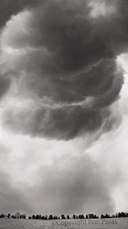 The Face of February