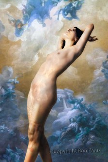 Renaissance Dream